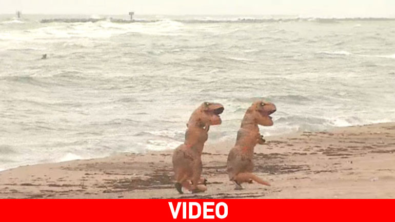 «Δεινόσαυροι» παίζουν στην παραλία της Φλόριντα κατά τη διάρκεια του τυφώνα Matthew