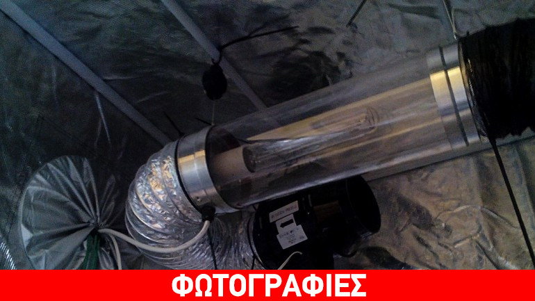 Χαλκιδική: Εργαστήριο… κάνναβης στην κατοικία 31χρονου