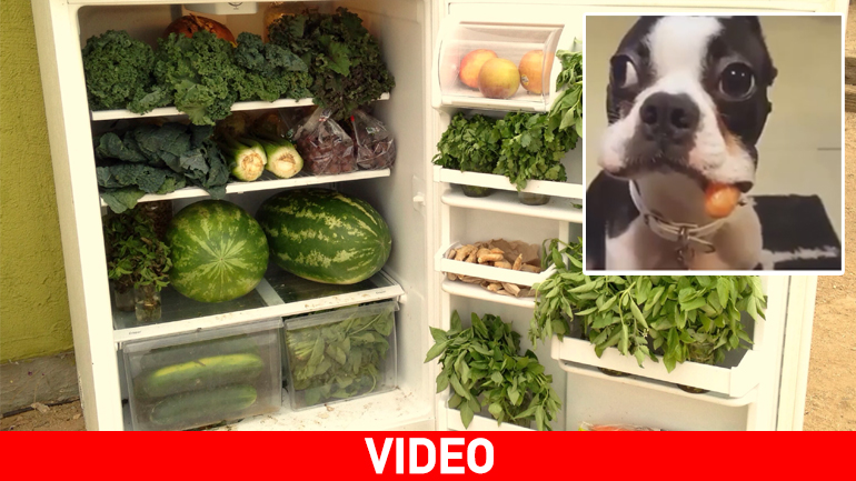 Πώς πάει η δίαιτά σου…;