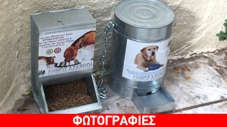Ταΐστρες για τα αδέσποτα ζώα τοποθέτησε ο Δήμος Αχαρνών