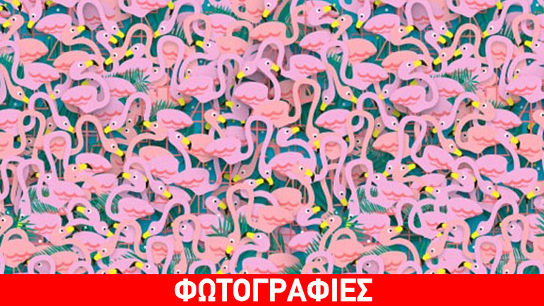 Τεστ παρατηρητικότητας…