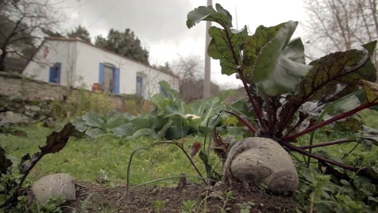 Η Ικαρία στη λίστα με τους μακροβιότερους κατοίκους ανά τον πλανήτη