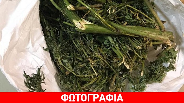 Ημαθία: Σύλληψη 50χρονου για 14,5 κιλά κάνναβης