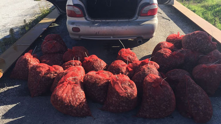 Πόρτο Λάγος: Σύλληψη ατόμου που μετέφερε 900 κιλά χαλασμένα όστρακα