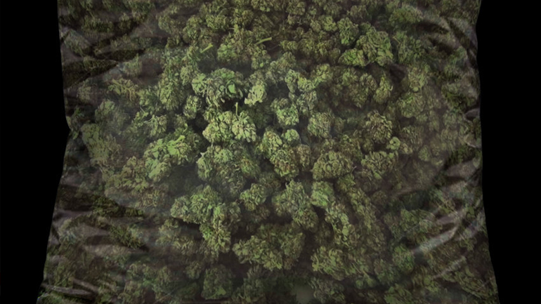 Ιωάννινα: Μετέφεραν με αυτοκίνητα… 130 κιλά κάνναβη