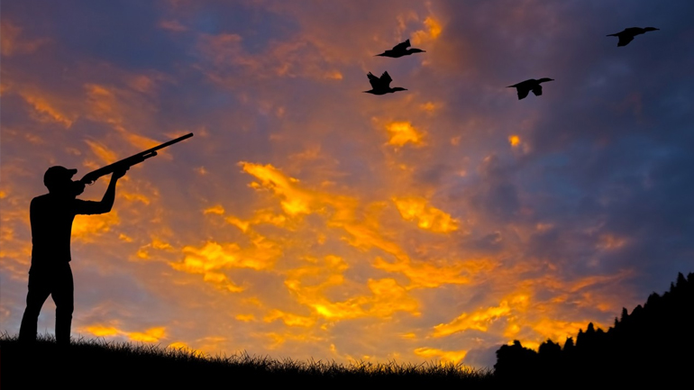 Απαγορεύτηκε το κυνήγι σε περιοχές της Χαλκιδικής