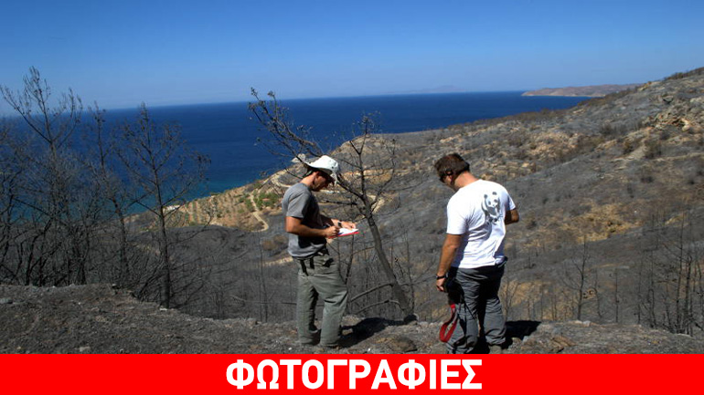 Στάχτη έγιναν 302.000 στρέμματα δάσους και φέτος – αναλυτικά στοιχεία