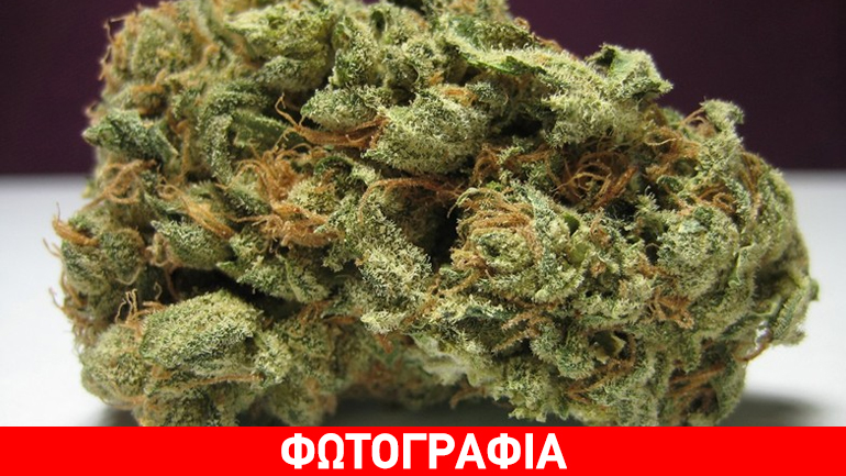 Ημαθία: Τα ναρκωτικά έφεραν… χειροπέδες