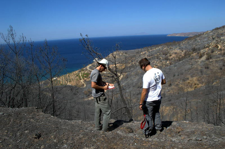 Η δασική ομάδα του WWF στην επιτόπια αυτοψία στη Χίο. Photo: Μαριάννα Καρίβαλη