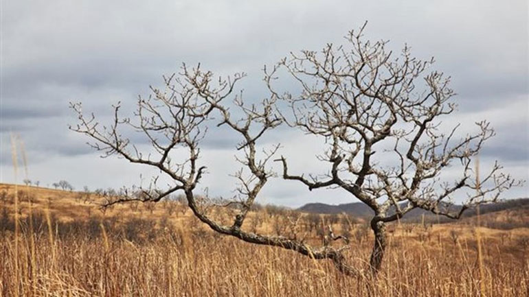 Ρόδος: Με λιτανεία και περιφορά της εικόνας του Προφήτη Ηλία προσπαθούν να φέρουν βροχή!!!