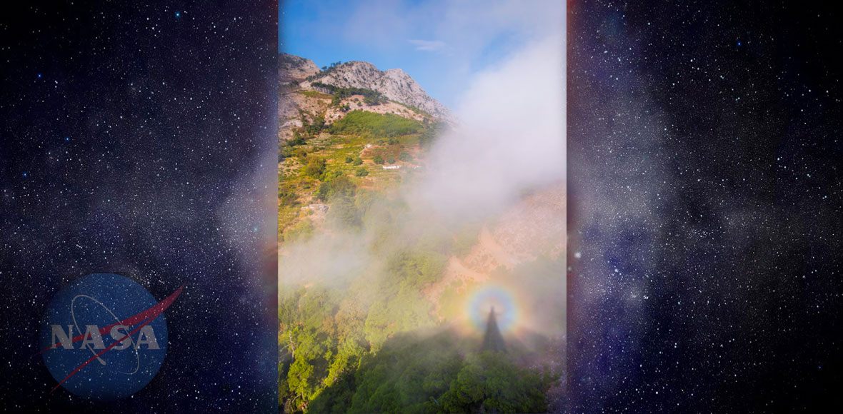 Το Φάντασμα της Λουλούδας