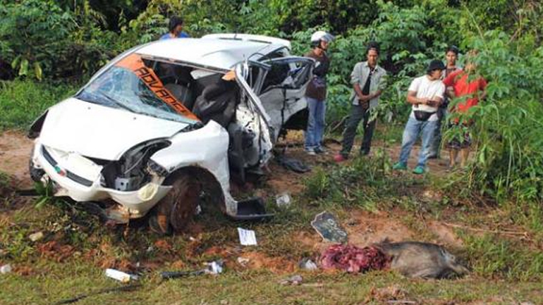 Σέρρες: Αυτοκίνητο της αστυνομίας έπεσε πάνω σε αγριογούρουνα