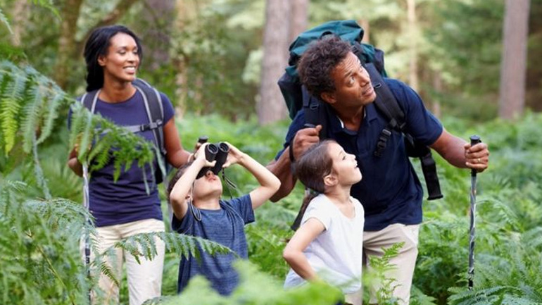 Ημερήσια εκδρομή στο δάσος με τα παιδιά σας