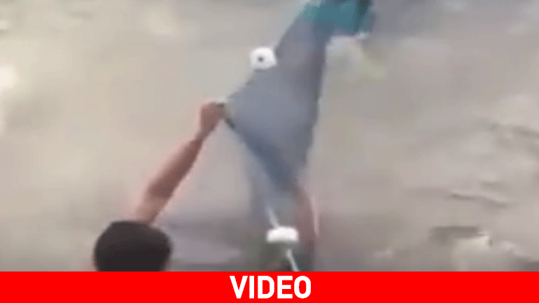 Βρέχει ψάρια….