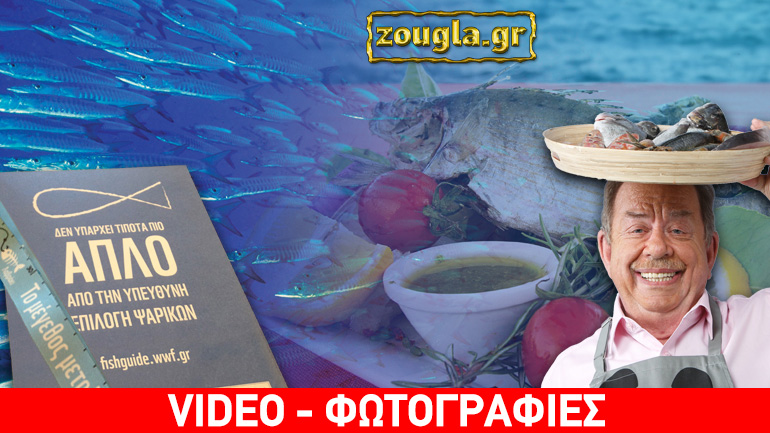 FishGuide της WWF: Η προστασία των θαλασσών περνά και από το δικό μας πιάτο