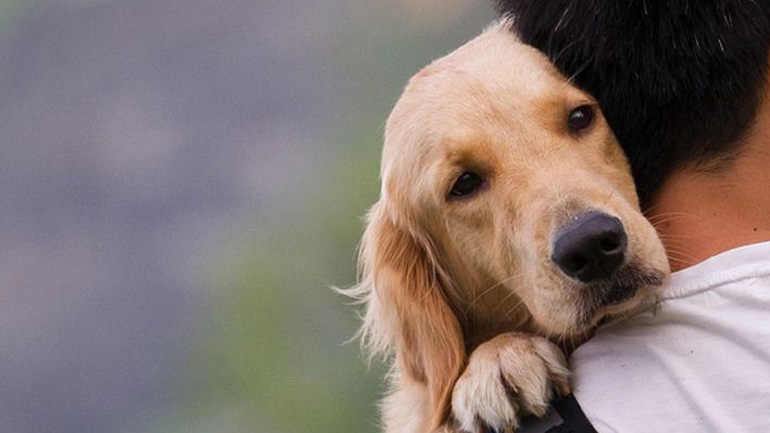 Ένα συγκινητικό βίντεο για την αγάπη χωρίς όρους