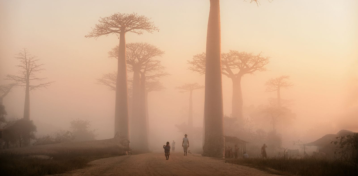 Το χωριό κάτω από τα μπαομπάμπ