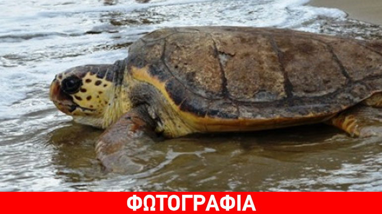 Ελεύθερη η «Ειρήνη», επέστρεψε στη θάλασσα!