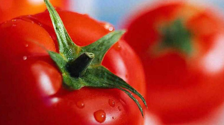 Πειραιάς: Δέσμευση 12 τόνων ντομάτας αγνώστου προελεύσεως