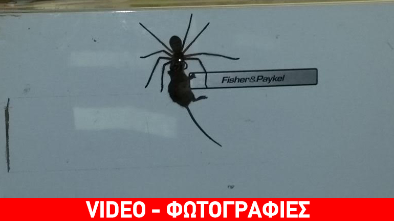 Μη δείτε αυτό το βίντεο εάν θέλετε να κοιμηθείτε το βράδυ…