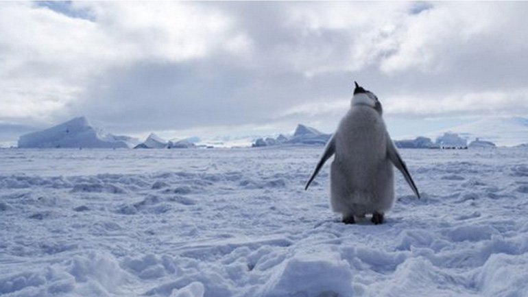 Δημιουργείται το μεγαλύτερο θαλάσσιο πάρκο παγκοσμίως