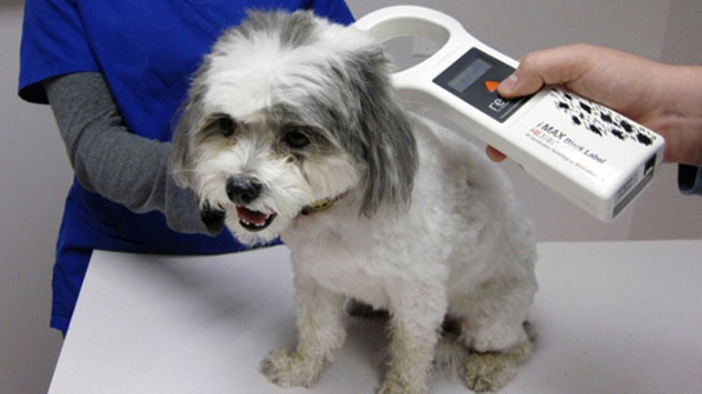 Διαμαρτυρία ζωόφιλων στο υπουργείο Αγροτικής Ανάπτυξης για το τσιπάκι στα κατοικίδια