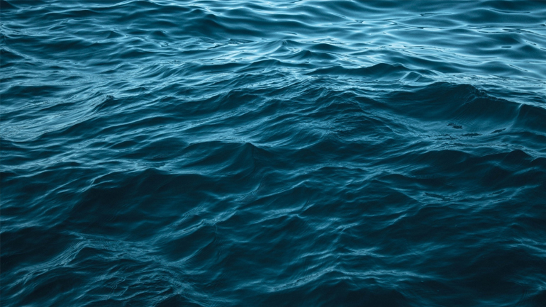 Βρέθηκε σορός άγνωστου άνδρα στη Χαλκιδική