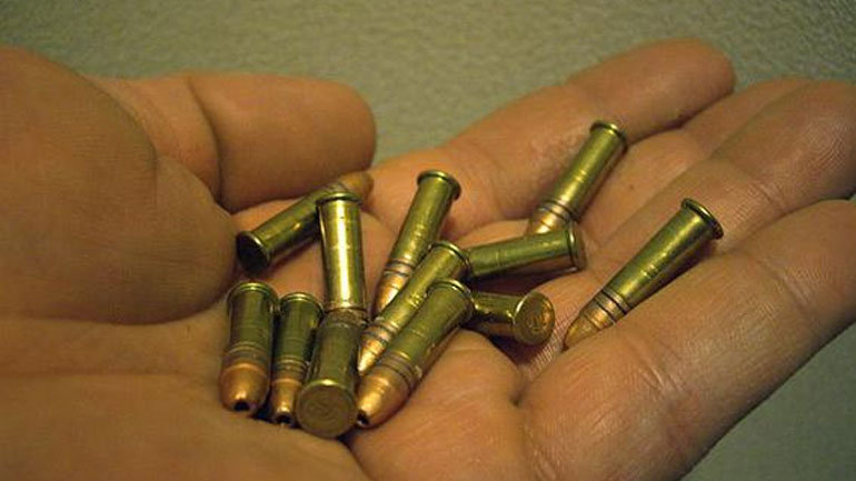 Γυναικεία υπόθεση τα όπλα και οι σφαίρες σε ποιμνιοστάσιο στο Μυλοπόταμο