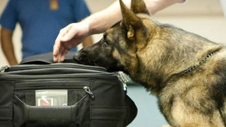 Χίος: Έκρυβε ηρωίνη σε κορνίζα φωτογραφίας