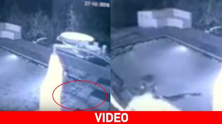 Κροκόδειλος διέκοψε το… ρομαντικό μπάνιο στην πισίνα Κροκόδειλος διέκοψε το… ρομαντικό μπάνιο στην πισίνα