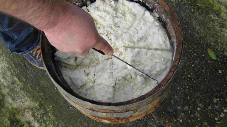 Έκρυψε 70.000 ευρώ σε τενεκέ με φέτα και τα έχασε