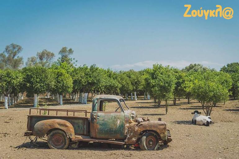 Φωτογραφία του Φραγκίσκου Πενίδη στο Citrus Museum στον κάμπο Χίου