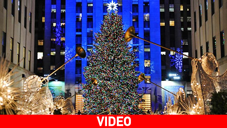 Το χριστουγεννιάτικο δέντρο του Rockefeller  έφτασε στη Νέα Υόρκη