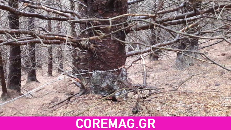 Ποδηλάτης παραλίγο να αποκεφαλιστεί