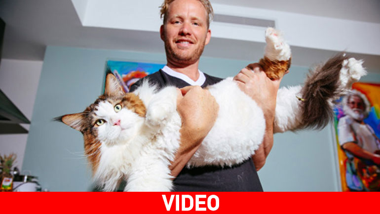 Αυτή η γάτα σκορπάει… τρόμο στο πέρασμά της