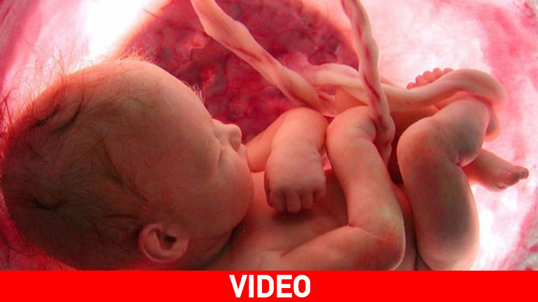 Το θαύμα της ζωής μέσα σε 4 λεπτά…