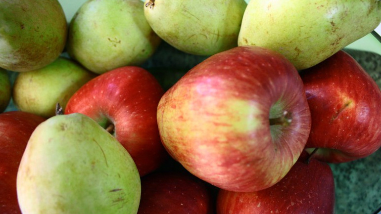 Δέσμευση 5 τόνων αχλαδιών και μήλων άγνωστης προέλευσης