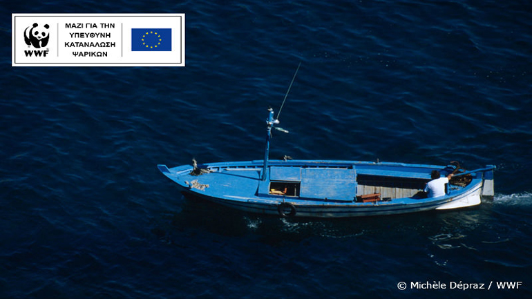 Παγκόσμια Ημέρα Αλιείας: Μάθε πώς να επιλέγεις ψαρικά με οδηγό το Fish Guide