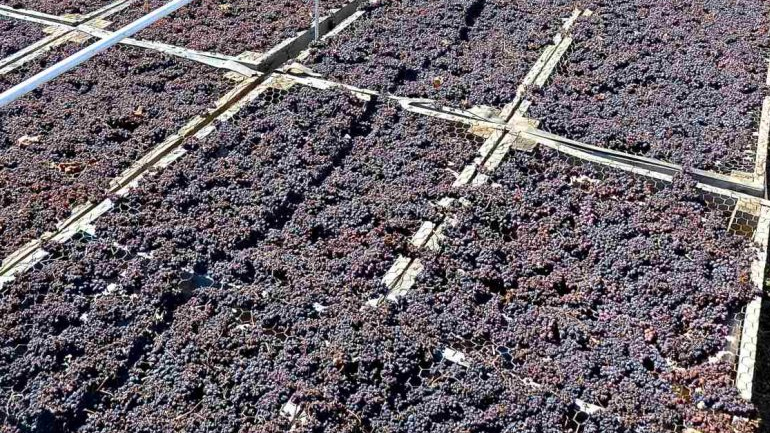 Υπόμνημα για τις αποζημιώσεις της σταφίδας