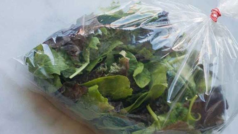 Κίνδυνος σαλμονέλας από τις έτοιμες συσκευασμένες σαλάτες