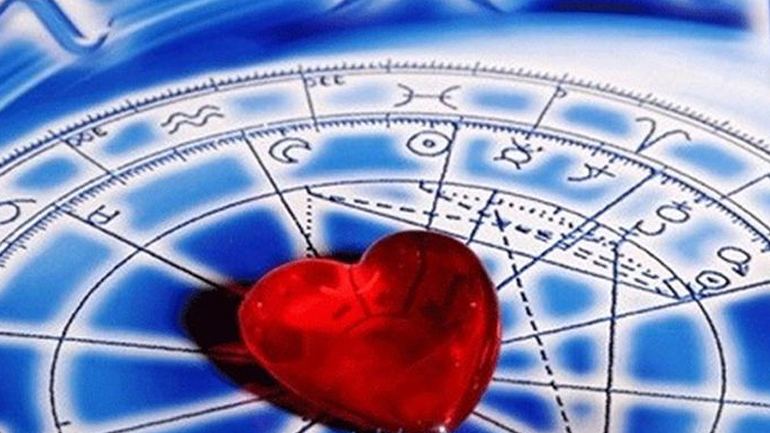 Όταν τα ζώδια λένε σ’ αγαπώ…
