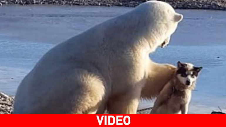 Όταν η αρχική εικόνα δεν προϊδεάζει για αυτό που θα επακολουθήσει