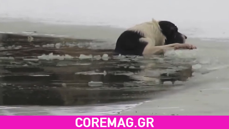 Έσωσε ένα σκύλο από παγωμένη λίμνη