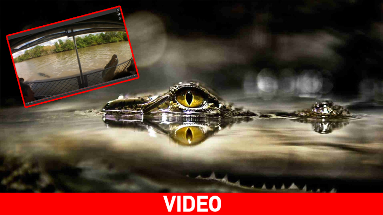 Τουρίστες στα… σαγόνια του κροκόδειλου!