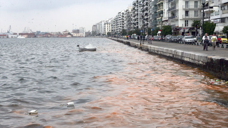 Ερυθρά παλίρροια στον Θερμαϊκό