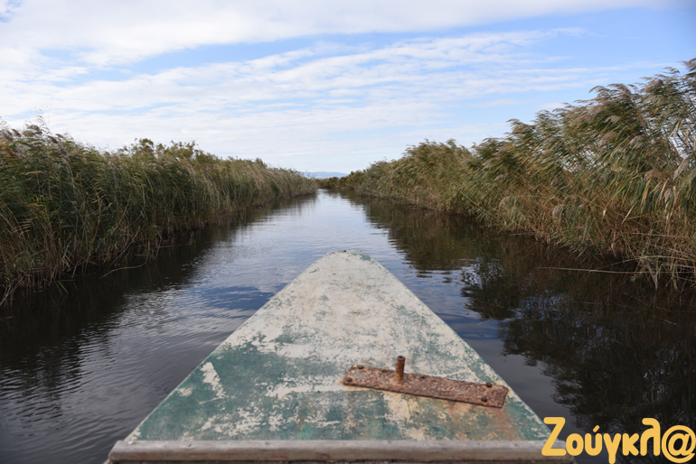 Το Δέλτα του Έβρου προστατεύεται με διεθνείς περιβαλλοντικές Συνθήκες
