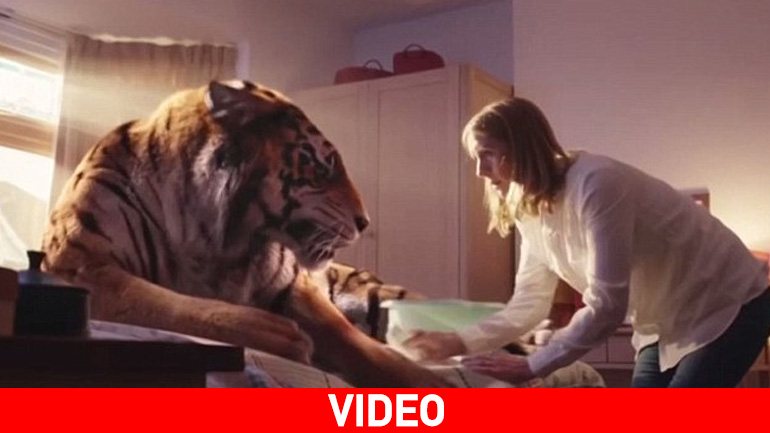 Ένα συγκινητικό βίντεο Χριστουγέννων από τη WWF