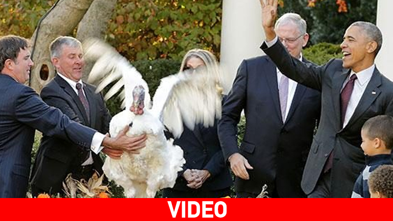 ΗΠΑ: Ο Ομπάμα ”απένειμε χάρη” σε γαλοπούλα για την Ημέρα των Ευχαριστιών