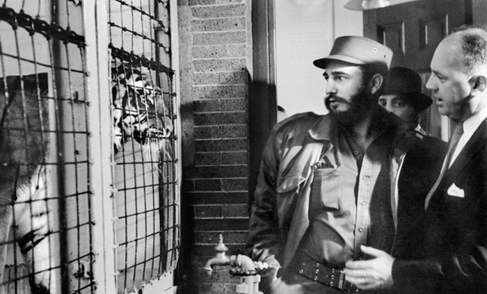 Ξενάγηση στον Ζωολογικό Κήπο του Μπρονξ (Νέα Υόρκη)