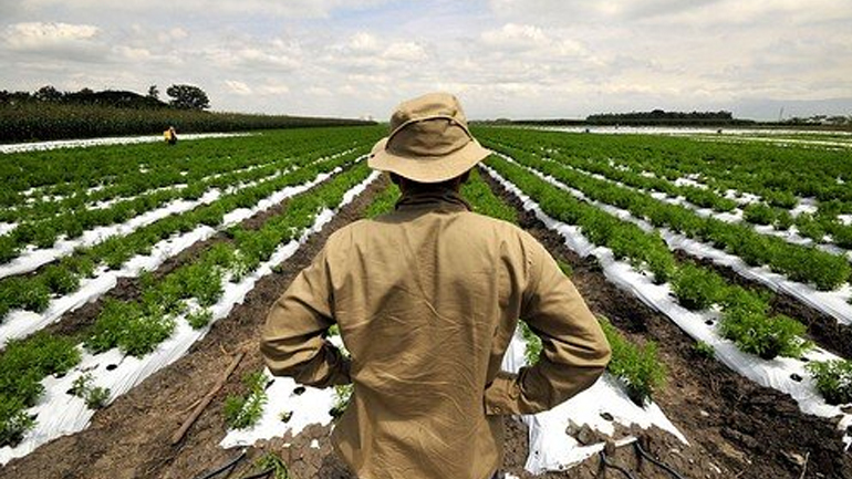 Μαγνησία: Έφτασαν τα πρώτα ειδοποιητήρια του ΟΓΑ στους αγρότες